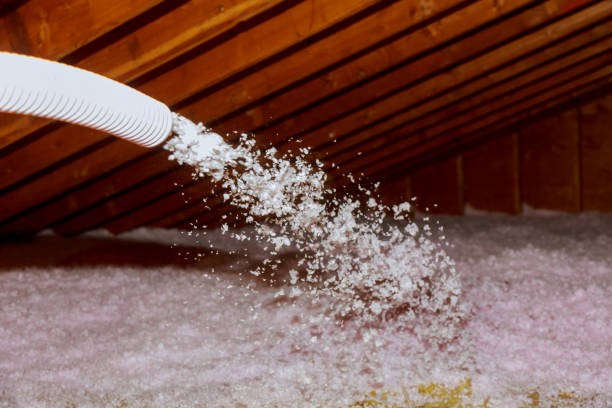 Best Geographic-Specific Insulation Services in Nome, AK